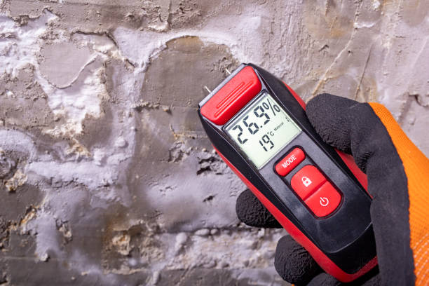 Best Attic Mold Removal  in North Sea, NY