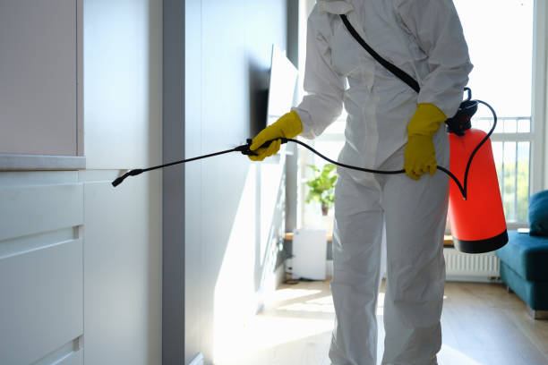 Mold Testing and Removal in North Sea, NY
