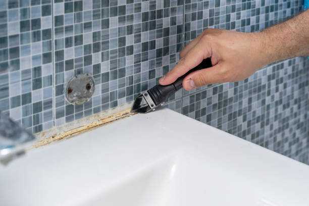 Best Residential Mold Removal  in North Sea, NY